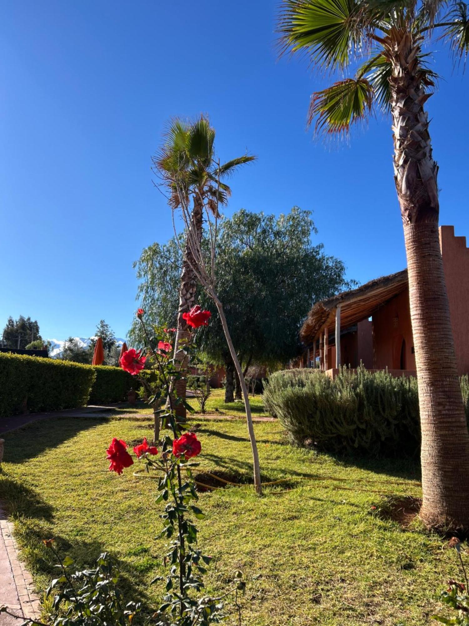 Les Orangers De l'Ourika Hotel Douar Akkara Bagian luar foto