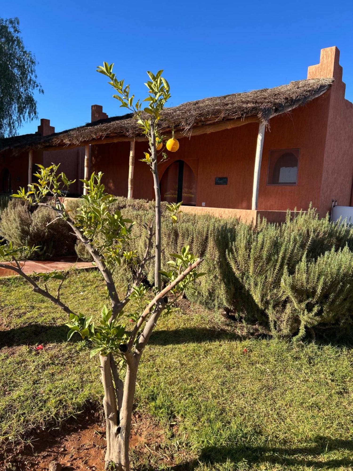 Les Orangers De l'Ourika Hotel Douar Akkara Bagian luar foto