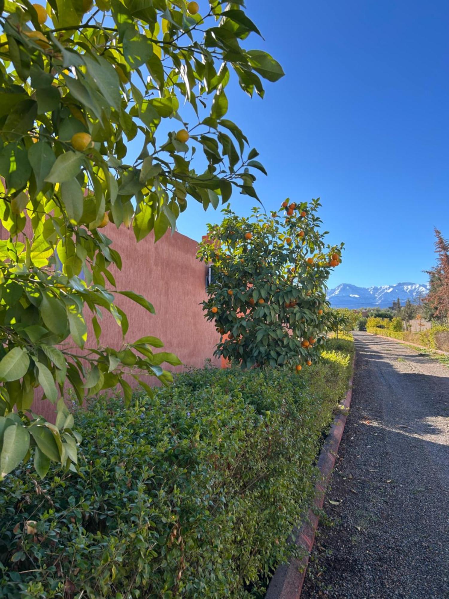Les Orangers De l'Ourika Hotel Douar Akkara Bagian luar foto