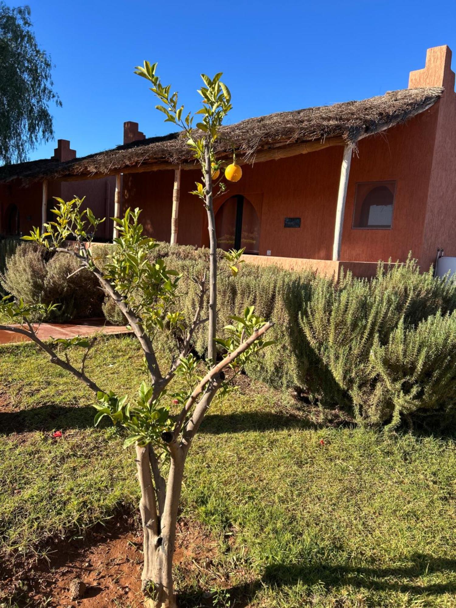 Les Orangers De l'Ourika Hotel Douar Akkara Bagian luar foto