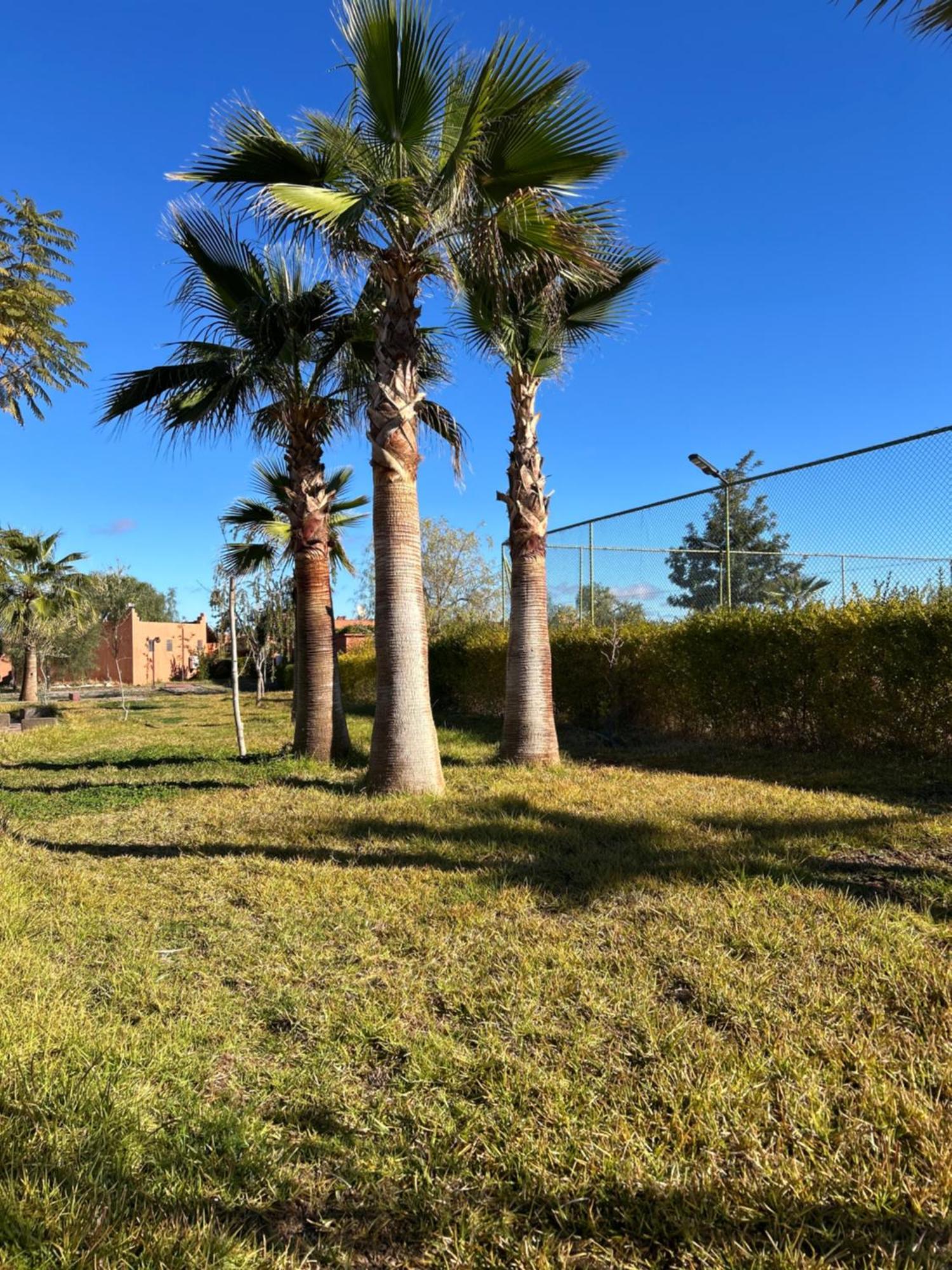 Les Orangers De l'Ourika Hotel Douar Akkara Bagian luar foto