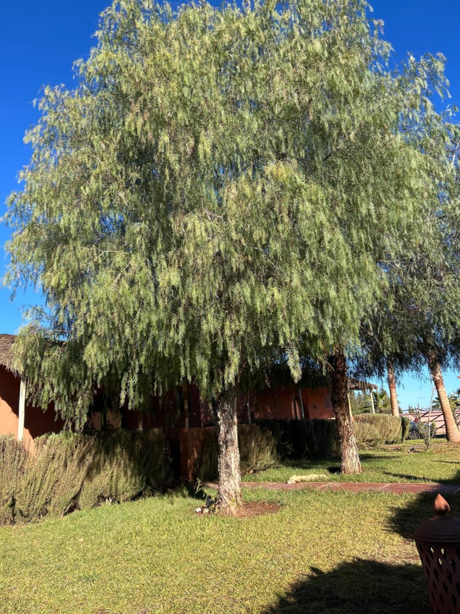Les Orangers De l'Ourika Hotel Douar Akkara Bagian luar foto