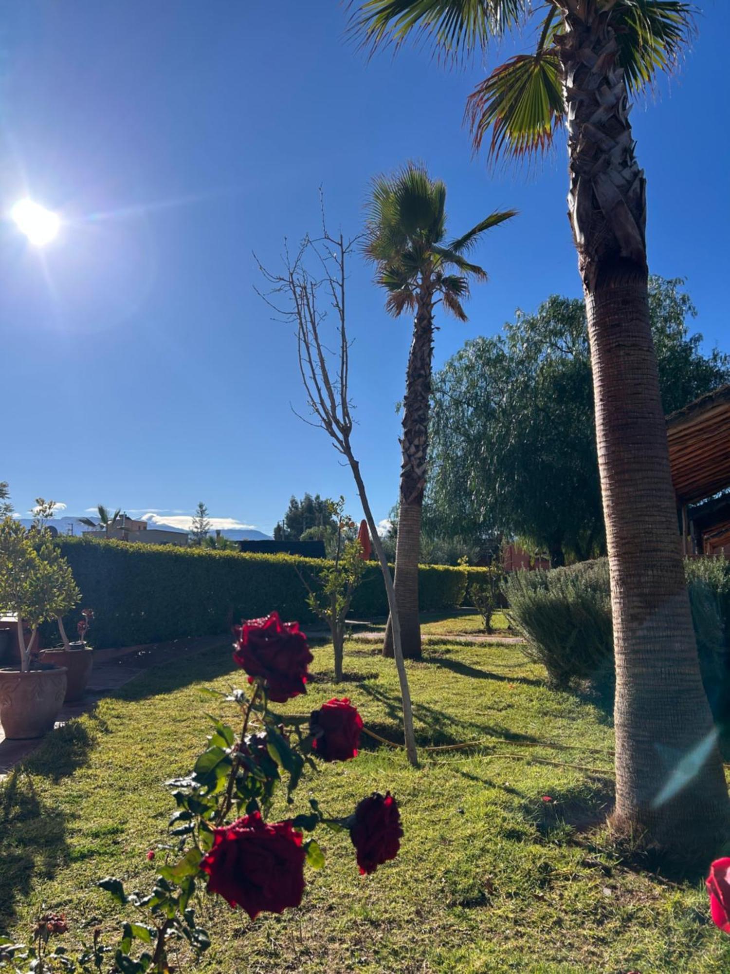 Les Orangers De l'Ourika Hotel Douar Akkara Bagian luar foto