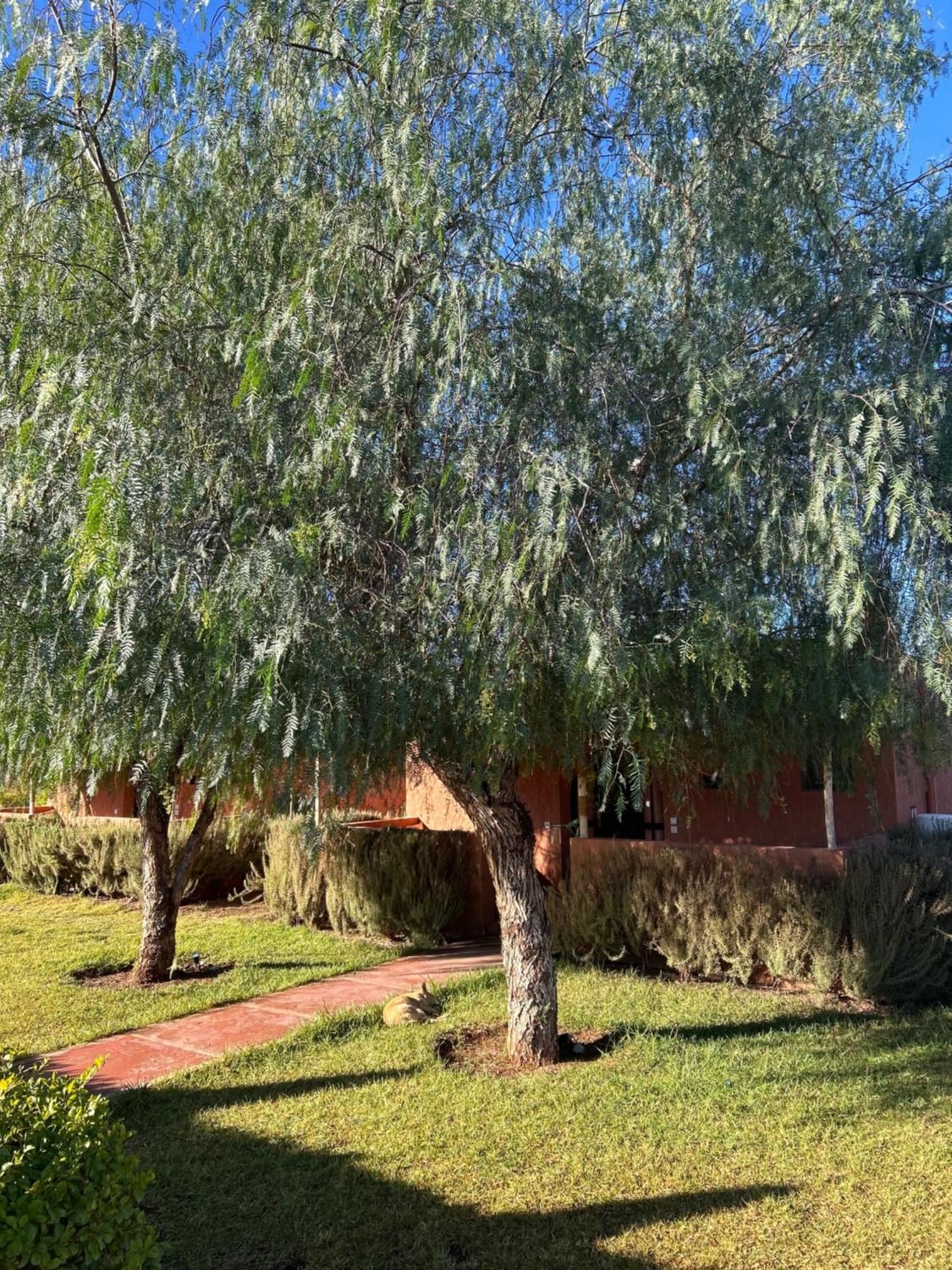 Les Orangers De l'Ourika Hotel Douar Akkara Bagian luar foto